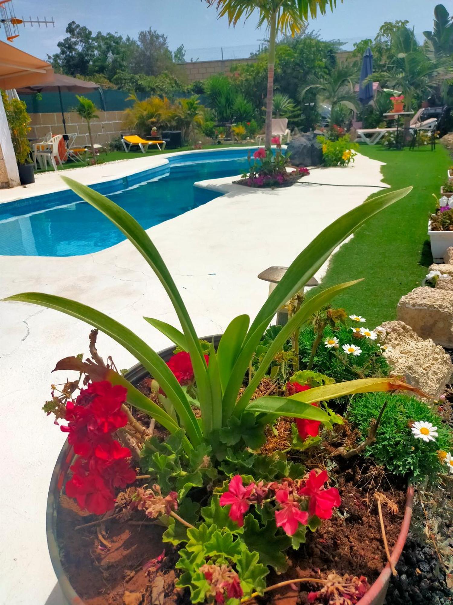 Villa Daita 1 Granadilla de Abona Szoba fotó