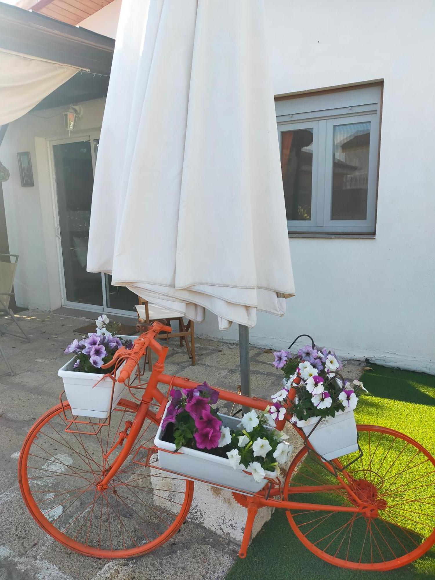 Villa Daita 1 Granadilla de Abona Szoba fotó